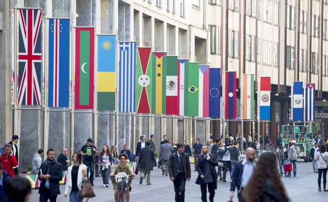 Printed Flags